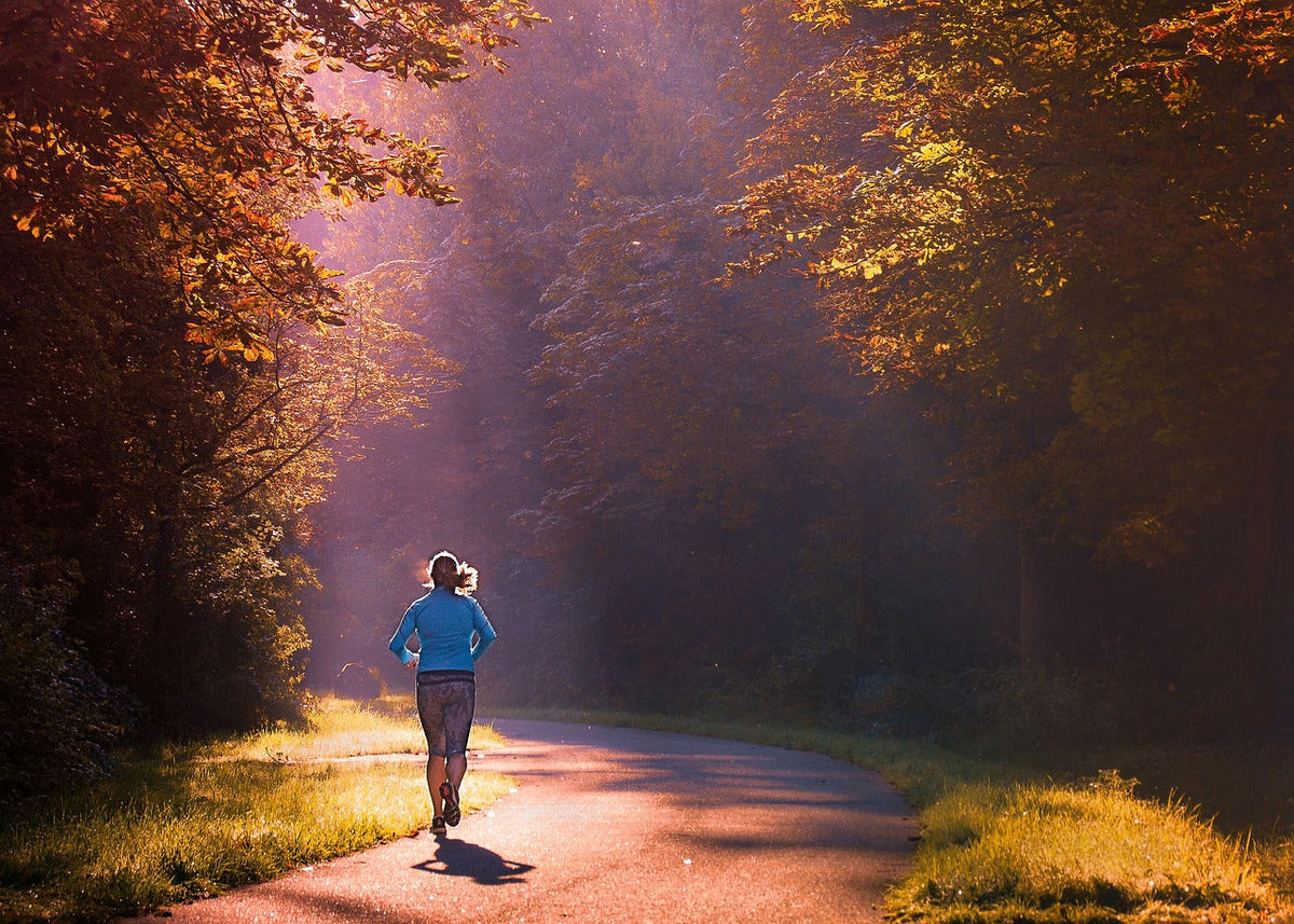 Finding your correct Walking Shoe How to Find the Best Walking Shoes for Older Adults: A Comprehensive Guide Finding your correct Walking Shoe