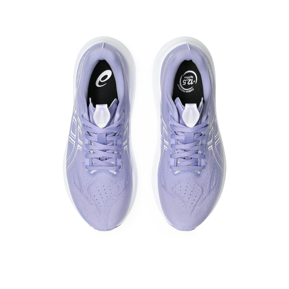 ASICS Women's Gt-2000 14 500 Bluebell/White top