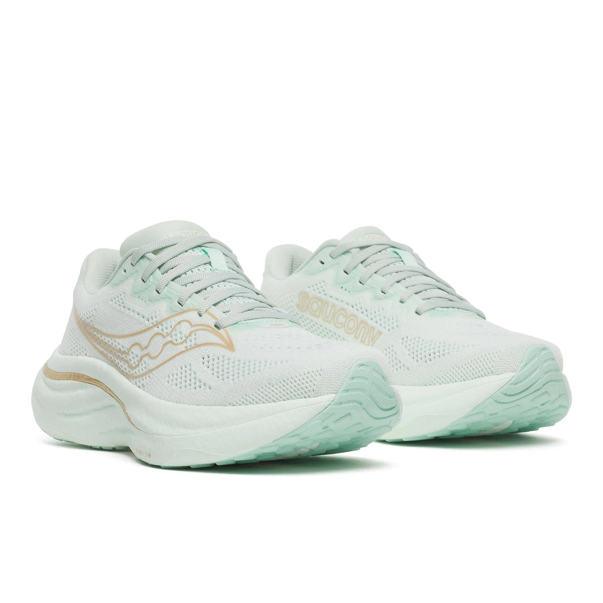 Saucony Women's Ride 19 146 Hush pair angle